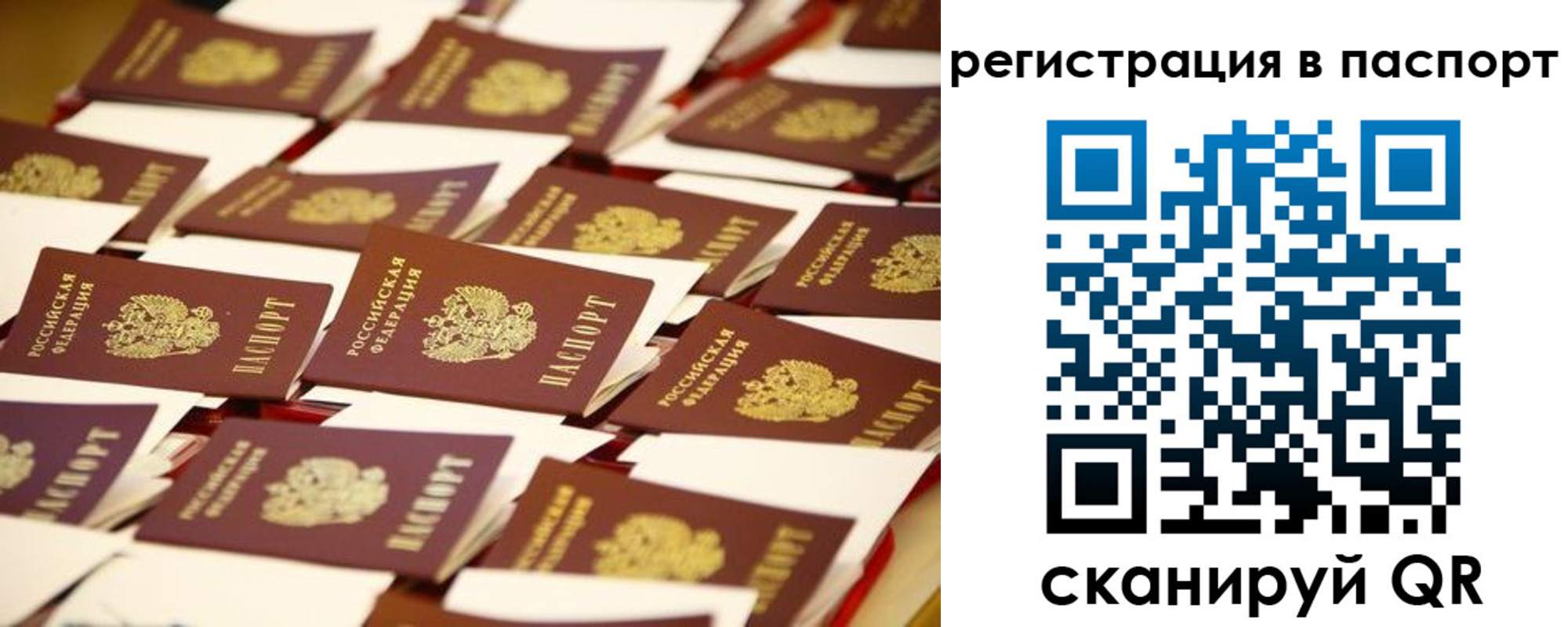 прописка гарантия в Константиновске
